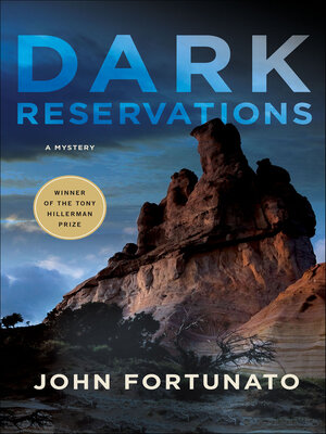 cover image of Dark Reservations